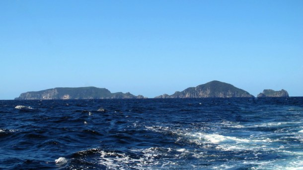 Poor Knights Islands