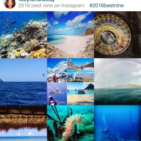 I’ll Never Doubt You Again, Dear&nbsp;Ocean